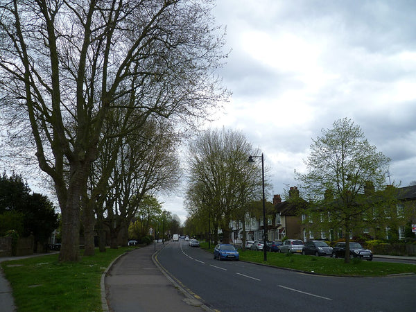 Tree-lined Villas, Chase Side