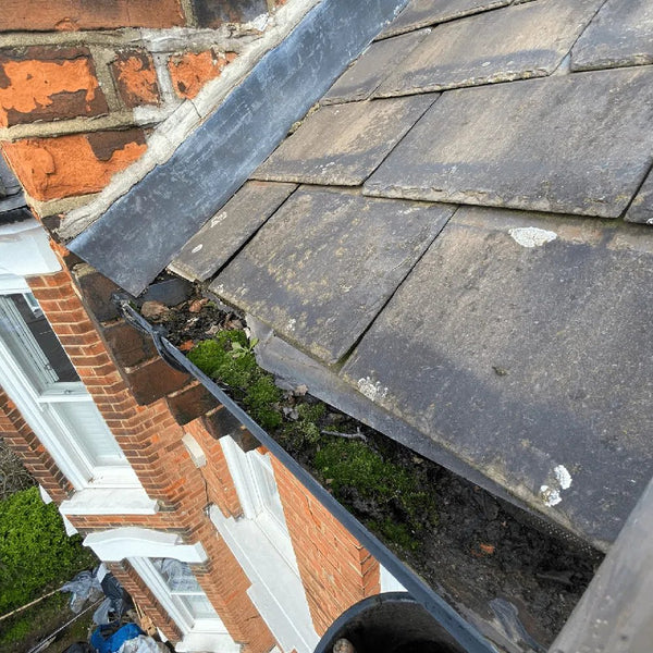 Before — Moss and debris blocking the gutter