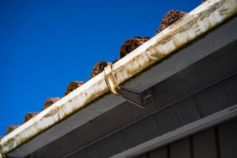 Blocked Gutters Cause Real Damage