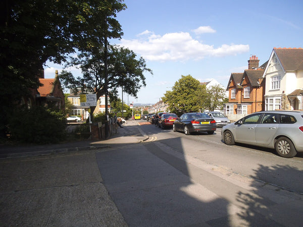 Victorian Villas, Alexandra Park Road
