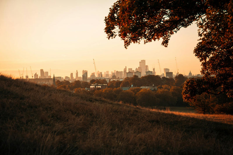 Why Primrose Hill Homeowners Trust Dropby